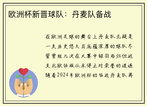 欧洲杯新晋球队：丹麦队备战